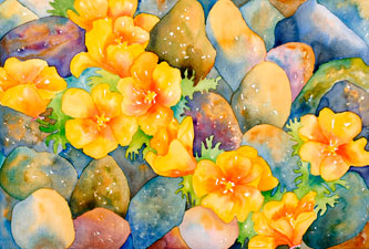 Poppies in a Riverbed