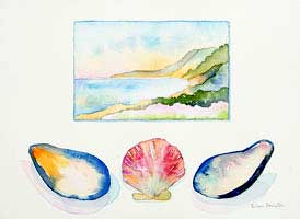 Pt. Reyes and Shells