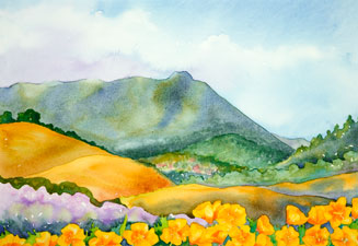 Mt. Tamalpais