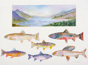 Trout