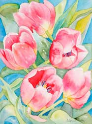 Tulips
