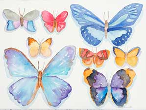 Butterflies 