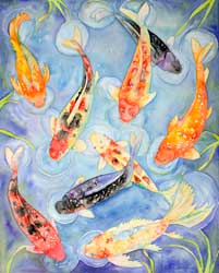 Koi Swimming